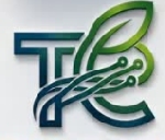 Tech Earth Global Business Solution Pvt. Ltd. Company Logo