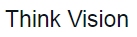 Think Vision Company Logo