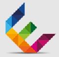 Effizent Seele Pvt Ltd Company Logo