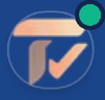 Task Nera Company Logo