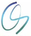 Optimance Strategies Company Logo