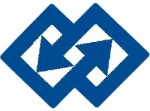 Datawise Company Logo