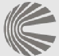 Conflux Systems Company Logo