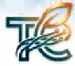 Tech Earth Global Business Solution Company Logo