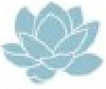 Tintess Pvt Ltd Company Logo