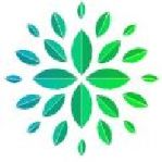 Netzero Company Logo