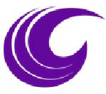 E-Faws Tech Services Pvt Ltd Company Logo