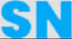 Sales Nayak It Pvt Ltd Company Logo