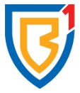 G2p Wealth and Beema1 Company Logo
