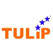 Tulip Consultants Company Logo