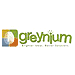 Greynium Information Technologies Company Logo