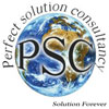 Perfect Solution Consultancy Company Logo