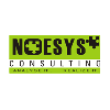 Noesys Consulting Company Logo