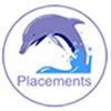 Dolphin Placements.com Company Logo