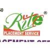 Rite Info Soft Pvt. Ltd. Company Logo