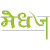 Medhaj Company Logo