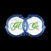 Innovative Placements & Recruiting Services India Pvt Lt Company Logo