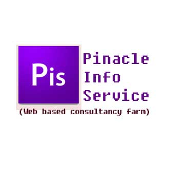 Pinacle Info Service Company Logo