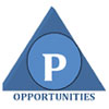 Opportunities Consultant Pvt Ltd Company Logo