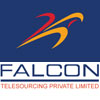 Falcon Telesourcing Pvt Ltd Company Logo