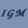 IGM Technologies Company Logo