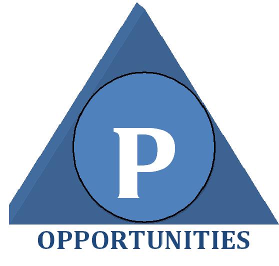 Opportunities Consultant Pvt. Ltd. Logo