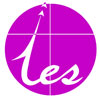 Yes Consulting Solutions Company Logo