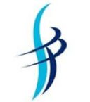 Sathyam International Consulting Services Pvt. Ltd. Company Logo