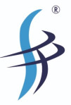 Sathyam International Consulting Services Pvt. Ltd. Company Logo