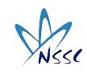New S S Consultants Company Logo