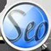 The Seo Company USA Company Logo