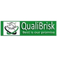 Qualibrisk Company Logo