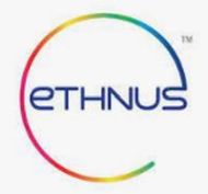 Ethnus Consultancy Services Pvt. Ltd. Company Logo