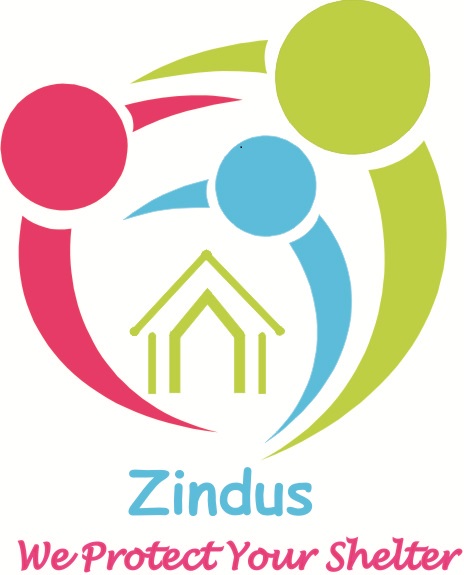 Zindus Technosys Inc Company Logo