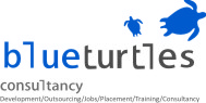 Blue Turtles Consultancy Company Logo