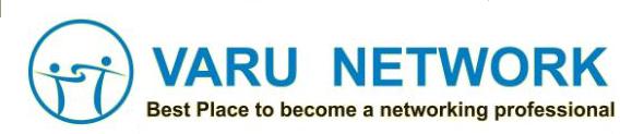 Varu Network Company Logo