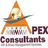 Apex Company Logo