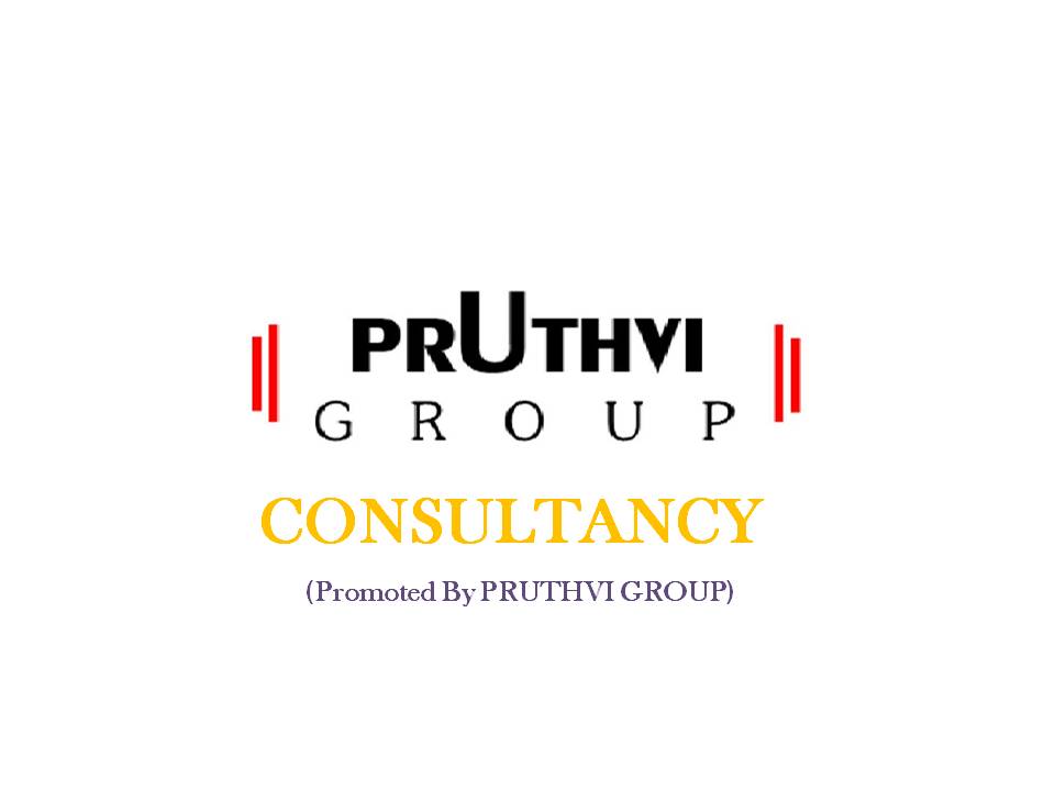 Pruthvi Consultancy Company Logo