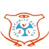 V S I Security Pvt. Ltd Company Logo