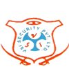 V S I Security Pvt. Ltd Company Logo
