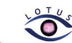Lotus Eye Care Hospital and Institute Company Logo