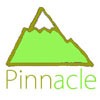 Pinnacle Solutions Company Logo