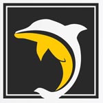 Dolphin placements Company Logo