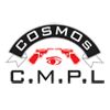Cosmos Group Company Logo