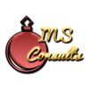 INS Consults Company Logo