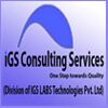 IGSLabs Consulting Services Company Logo