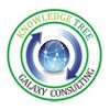 Kt Galaxy Consulting Company Logo