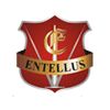 Entellus Security and Allied Services Company Logo