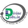 Divine Jobs Solution Pvt Ltd Company Logo