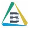 Blue Ites Solutions Company Logo